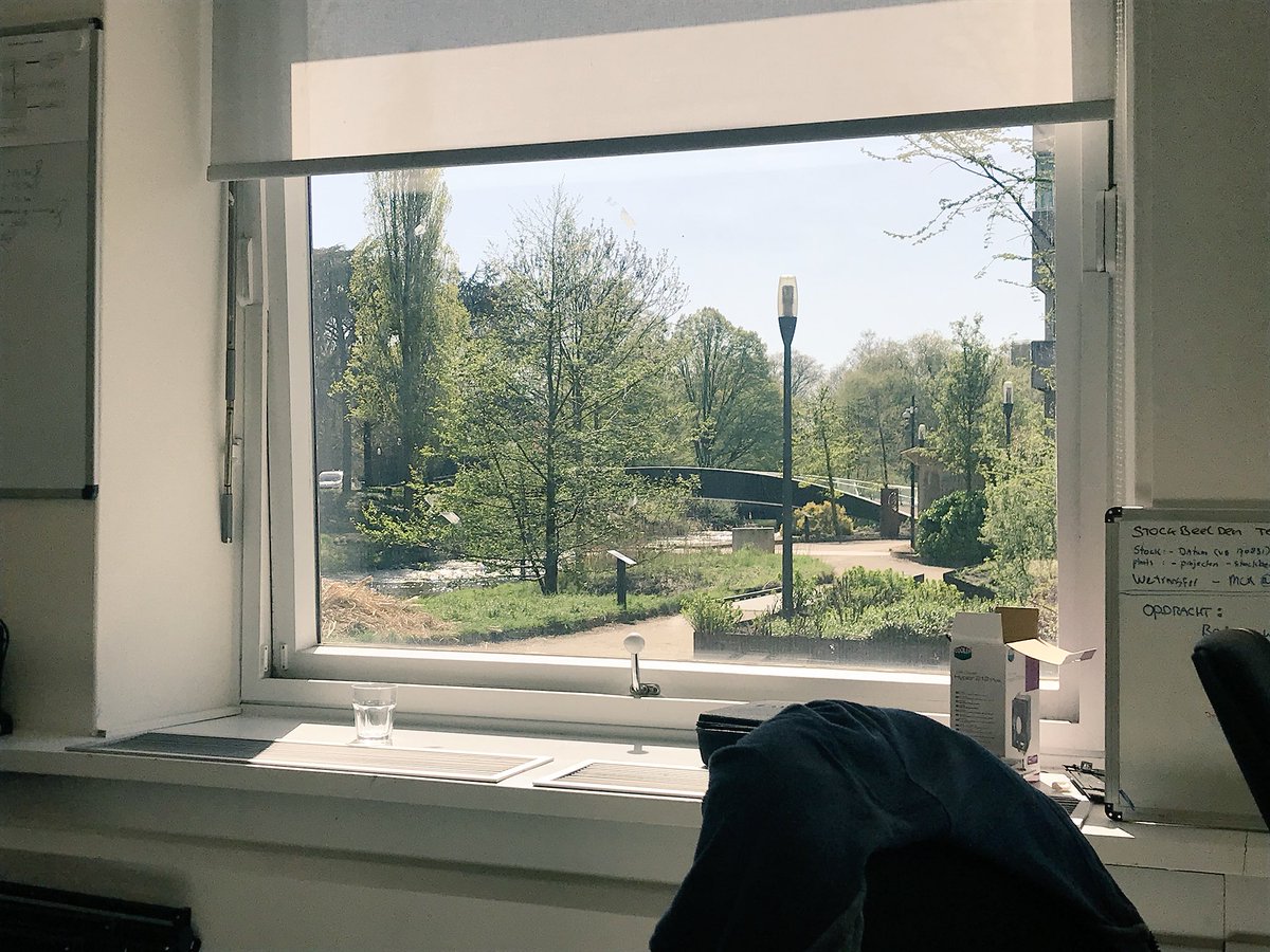 sophiebeer040's tweet photo. Als dit je uitzicht is vanaf je werkplek, dan kost het moeite om geconcentreerd te blijven werken. #straksdezonin #Designhuis @Studio040 https://t.co/8USPqTC789