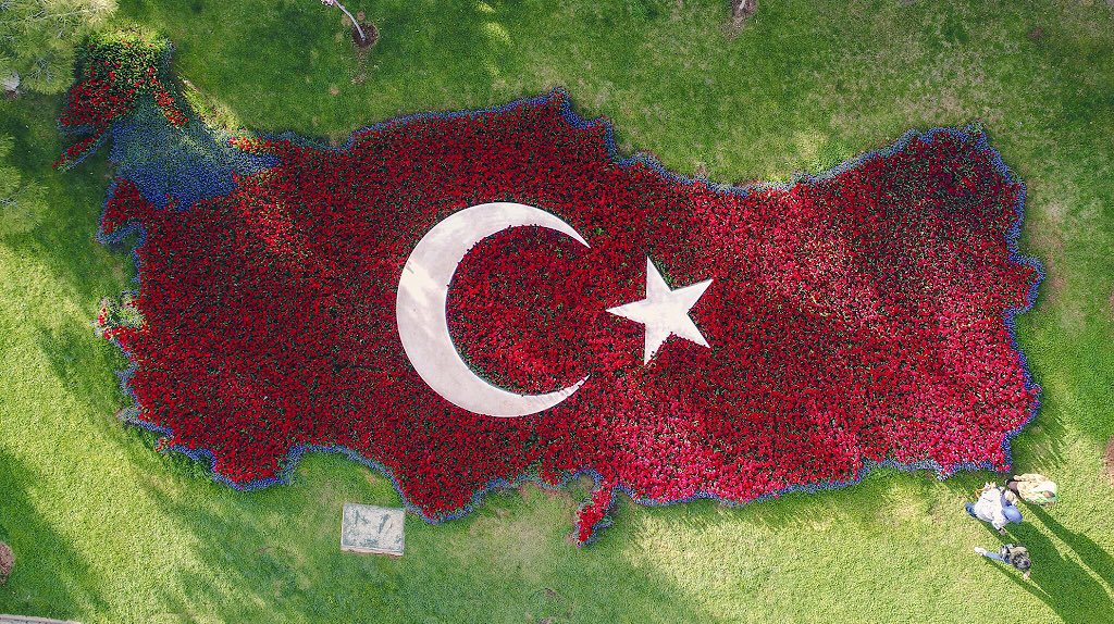 Hamza Tekin حمزة تكين 🇹🇷 tweet media