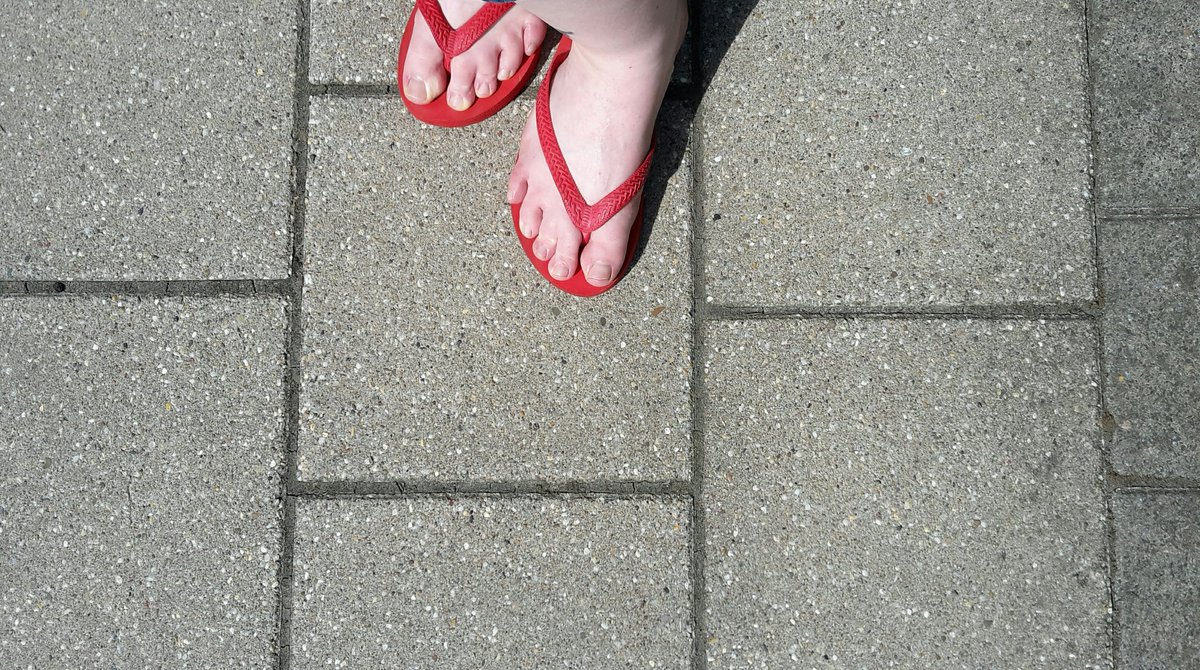 ms_cornwall's tweet photo. I ❤ my flip flops
#alienfeet https://t.co/MdvRlYPH67