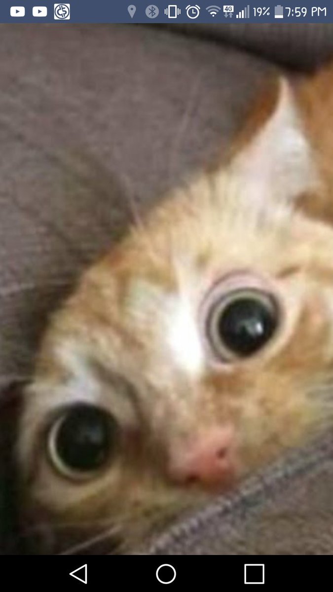 09squidboyYT's tweet photo. Bad day today bad cough can barley move but I'm trying to move but I'm feeling a little happy by @UnspeakableGame, @kaylaaconleyy, @09sharkboy aka @09tunafishshark, @EmmaPLAYSYT @ItsMooseCraft, @ItsArielPlays Hope you have a fun time in LA, plus hope these photos make u happy,Rar https://t.co/VVCdty1snS