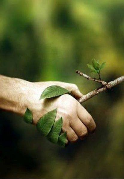 Green_FiveFive's tweet photo. "J'aime poser ma main sur le tronc d'un arbre, non pour m'assurer de son existence dont je ne doute pas, mais pour m'assurer de la mienne." Christian Bobin https://t.co/vw6u6UX6mj