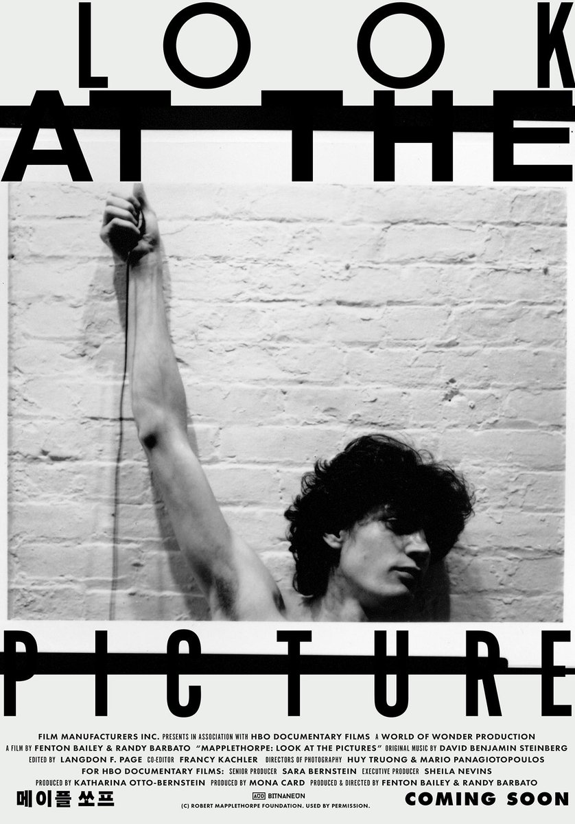 #데이즈드코리아 10주년을 축하합니다🍾 10주년을 기념하는 영화제에 #플로리다프로젝트 #메이플쏘프 #몽상가들 3편으로 오드도 함께 합니다!...