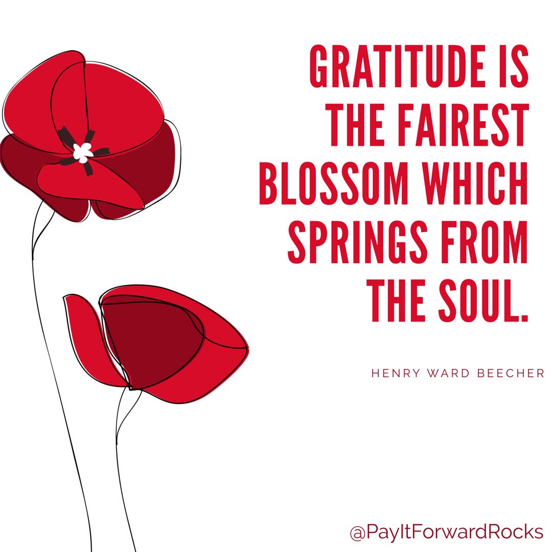 PayItForwardRox's tweet photo. Let the greatness within blossom through acts of gratitude ❤️✨🌹 https://t.co/W9c6ADxndN