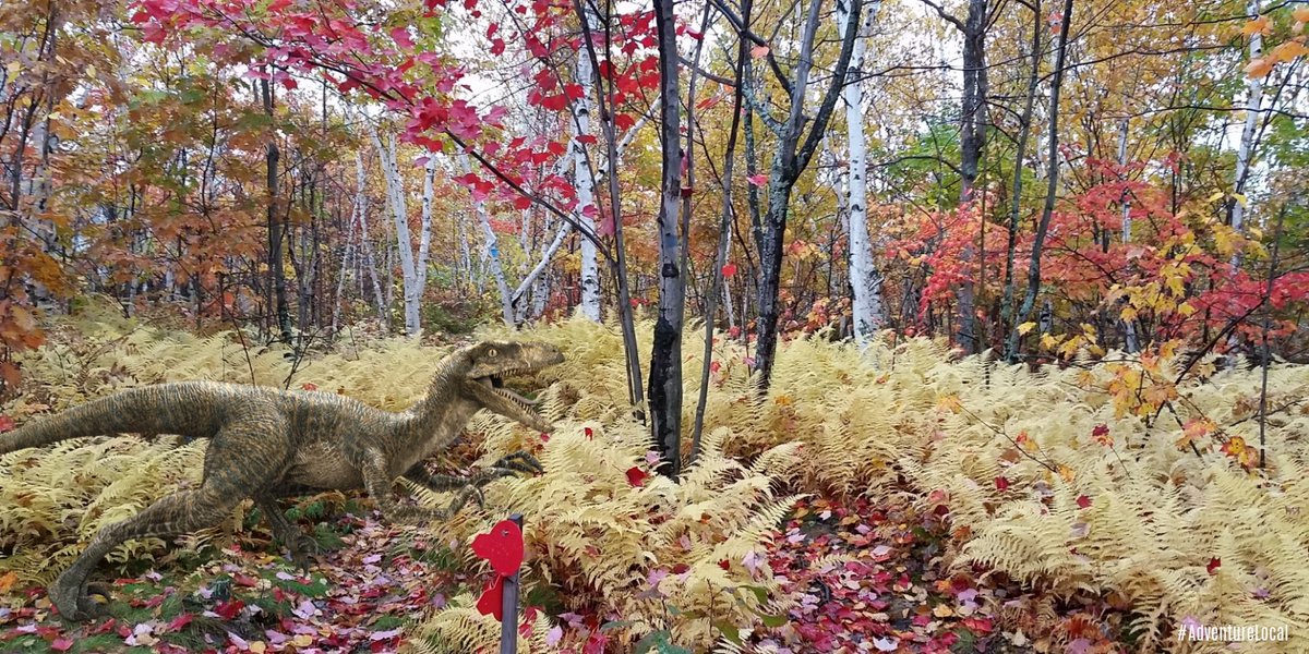 Lake_Laurentian's tweet photo. #VelociraptorAwarenessDay No Velociraptor sightings today at Lake Laurentian - so no excuse not to #GetOutside and #AdventureLocal ! https://t.co/k2ZLJegYfI