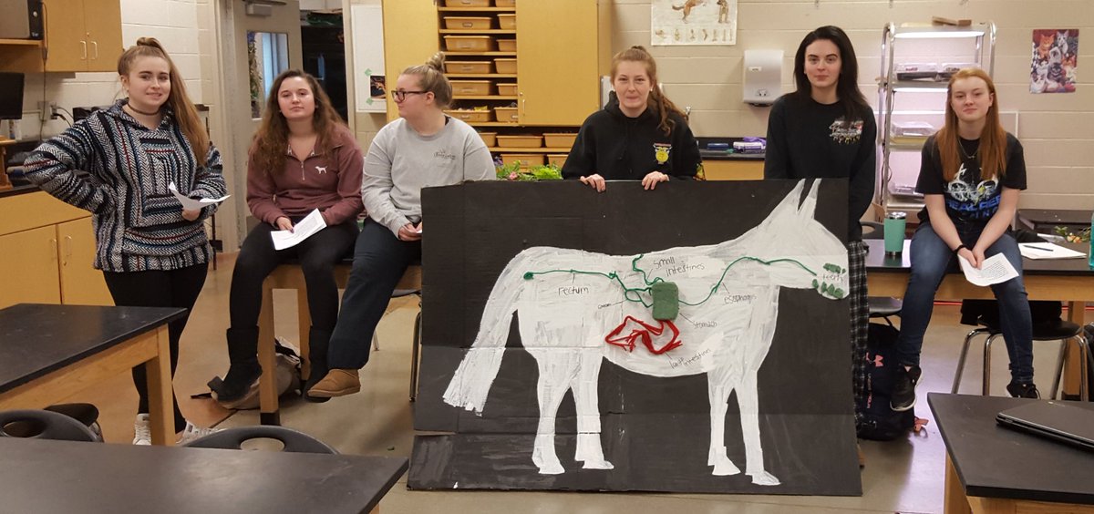 linganoreffa's tweet photo. Horse Care Mgmt. students @ LHS doing a song to the class to teach about the digestive system. https://t.co/RIbmRxvgCX