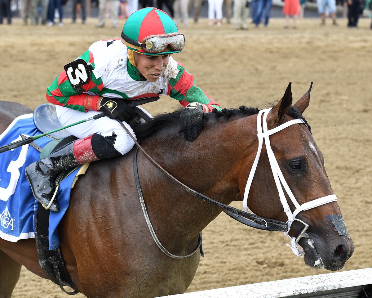 FLbred's tweet photo. Meet the @florida_horse that’s in the top 20 of points for the KY Derby - ‘Firenze Fire’ - 19th in points... sired by Poseidon’s Warrior. The Owner/Breeder is: (Ron Lombardi) Mr. Amore Stable and the trainer is Jason Servis. There will be more updates to come on ‘Firenze Fire’ 😁 https://t.co/H2wvrO19IH