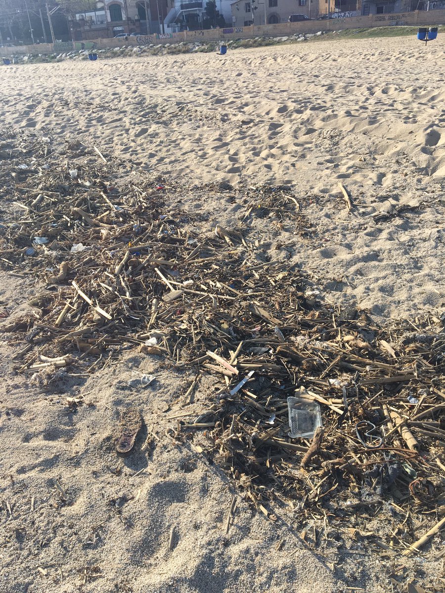 bebejant's tweet photo. @elmasnou_cat la platja està molt bruta #plàstics #llaunes https://t.co/B1hb8fZrBi