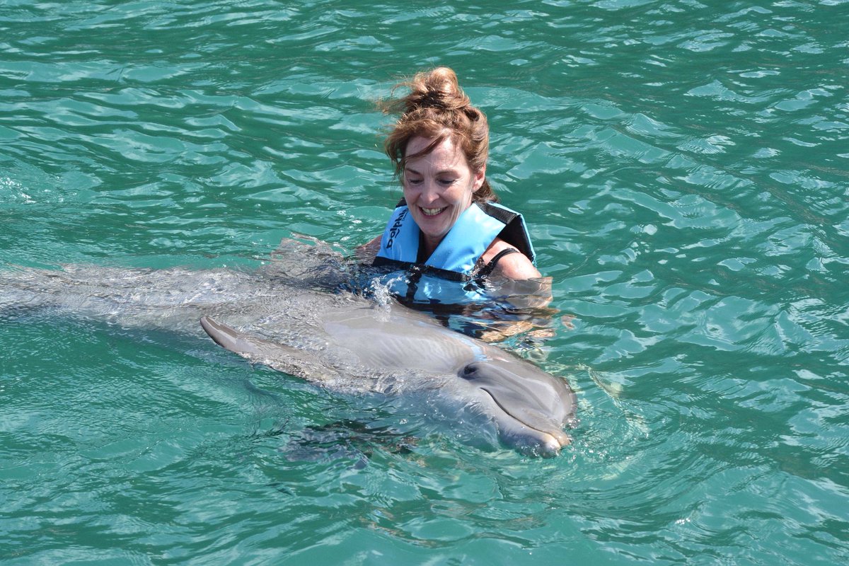 JaneAsher's tweet photo. Pure bliss. #swimwithdolphins #stkitt https://t.co/BuSQrGk1GQ