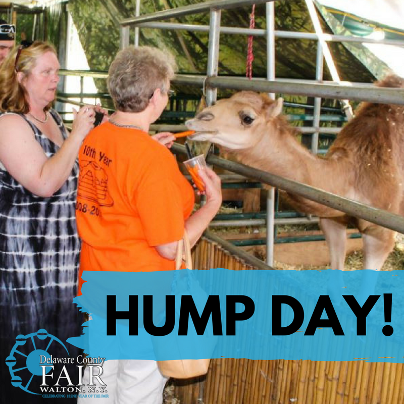 Delaware County Fair tweet media