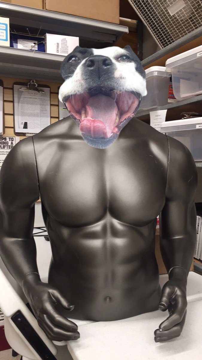 WillisDaBT's tweet photo. Been working out. Come at me beans https://t.co/cNtJQGNsXS