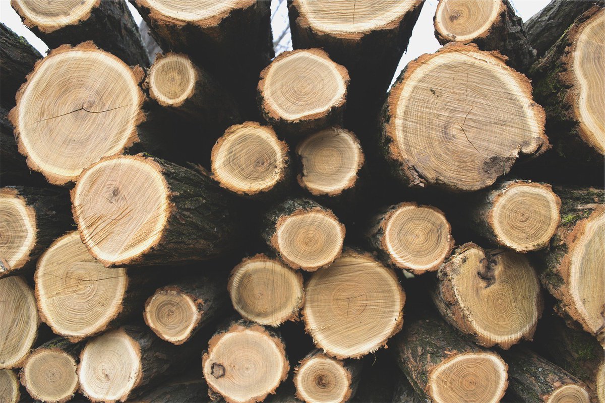 ueaenv's tweet photo. Did you know locally sourced wood is being used and additives are being added to concrete to reduce the carbon impact of a new #UEA teaching facility? https://t.co/aI6w96jVoS @SustainableUEA #building60 https://t.co/IdaiFTBzPt