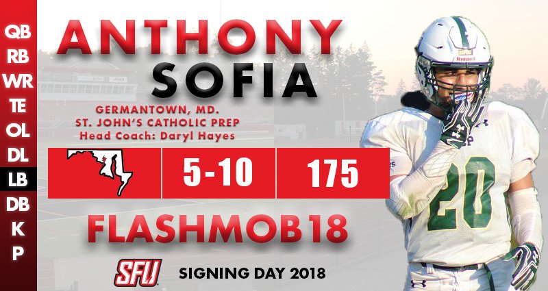 redwolvesfball's tweet photo. Welcome @asofia_20 to the #RedFlash family! Sofia recorded 100 tackles and 12 tackles for loss as a senior for St. John's Catholic Prep. #FlashMob18

https://t.co/VyIhih49g7 https://t.co/Hzq21hlkJA