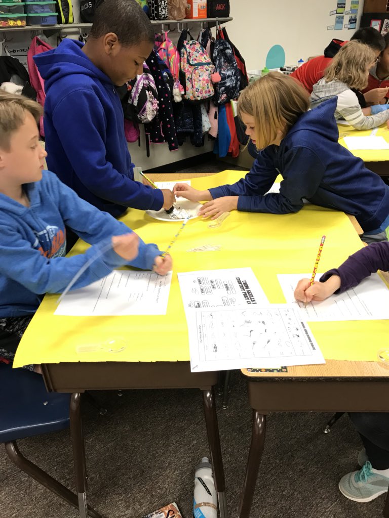 MrsGermano's tweet photo. Owl Pellet dissection.  Learning is so much fun! #keh4life https://t.co/zzpCiyocFf