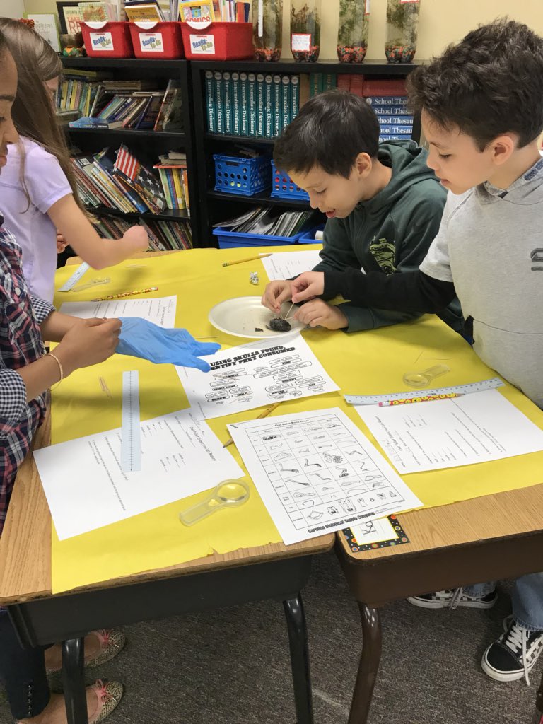MrsGermano's tweet photo. Owl Pellet dissection.  Learning is so much fun! #keh4life https://t.co/zzpCiyocFf