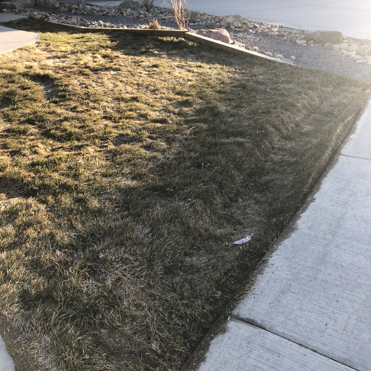 gthreejer's tweet photo. Uhm @LethbridgeCity - you’re sanitation fella (I’m sure purely by accident) just drove over my lawn!?!? https://t.co/E6tAX5XnfC