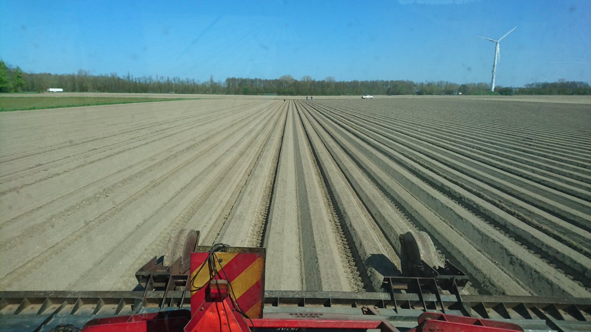talisbosma's tweet photo. De eerste wortels op lichte grond bij #bvERF worden gebrand #voorjaar https://t.co/WTWr6MjBOH