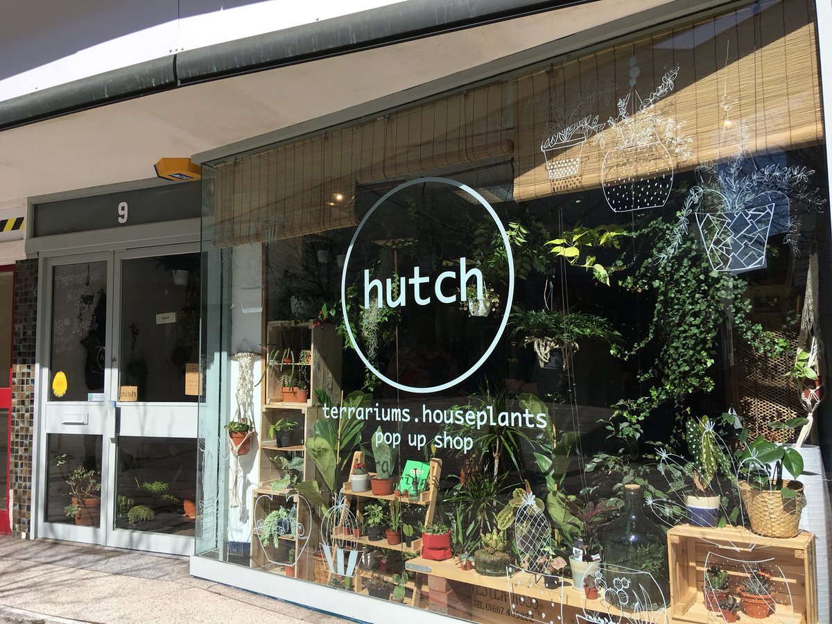 RobertsPhilippa's tweet photo. How beautiful is this pop-up shop? #hutchdevon Proud to have them as a @binituk customer! https://t.co/GLZ6ori9mt