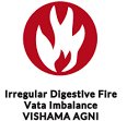 AyurIndus's tweet image. Second fires burning bright read all about it on our latest blog podthttps://goo.gl/E6QMd9. #alternativetreatments
#agni #vishama  #vishamaagni