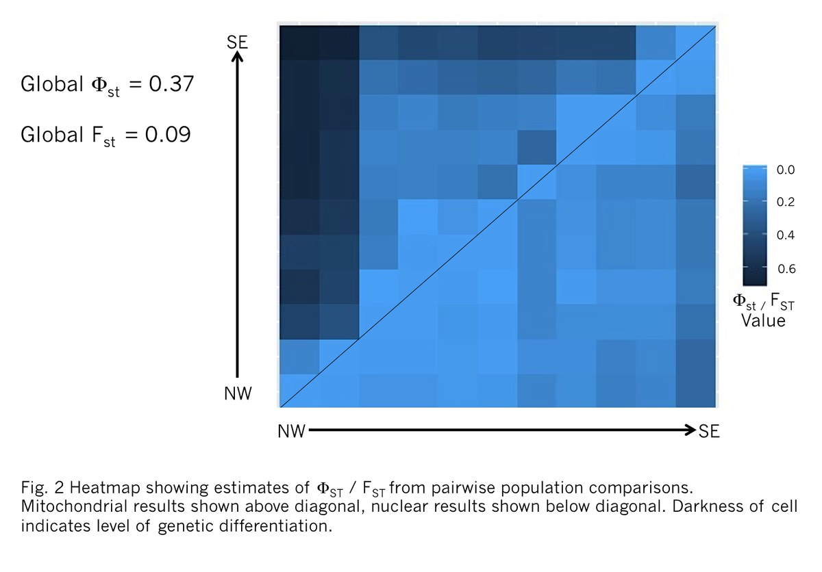 BronwynHarkness's tweet photo. 3 #WSTC4 #Gentcs We found significant genetic differentiation between populations, which followed a pattern of isolation by distance. Phylogenetic analyses showed a major genetic disjunction between Aleutian Islands and mainland populations. https://t.co/DRCWe5uQBd