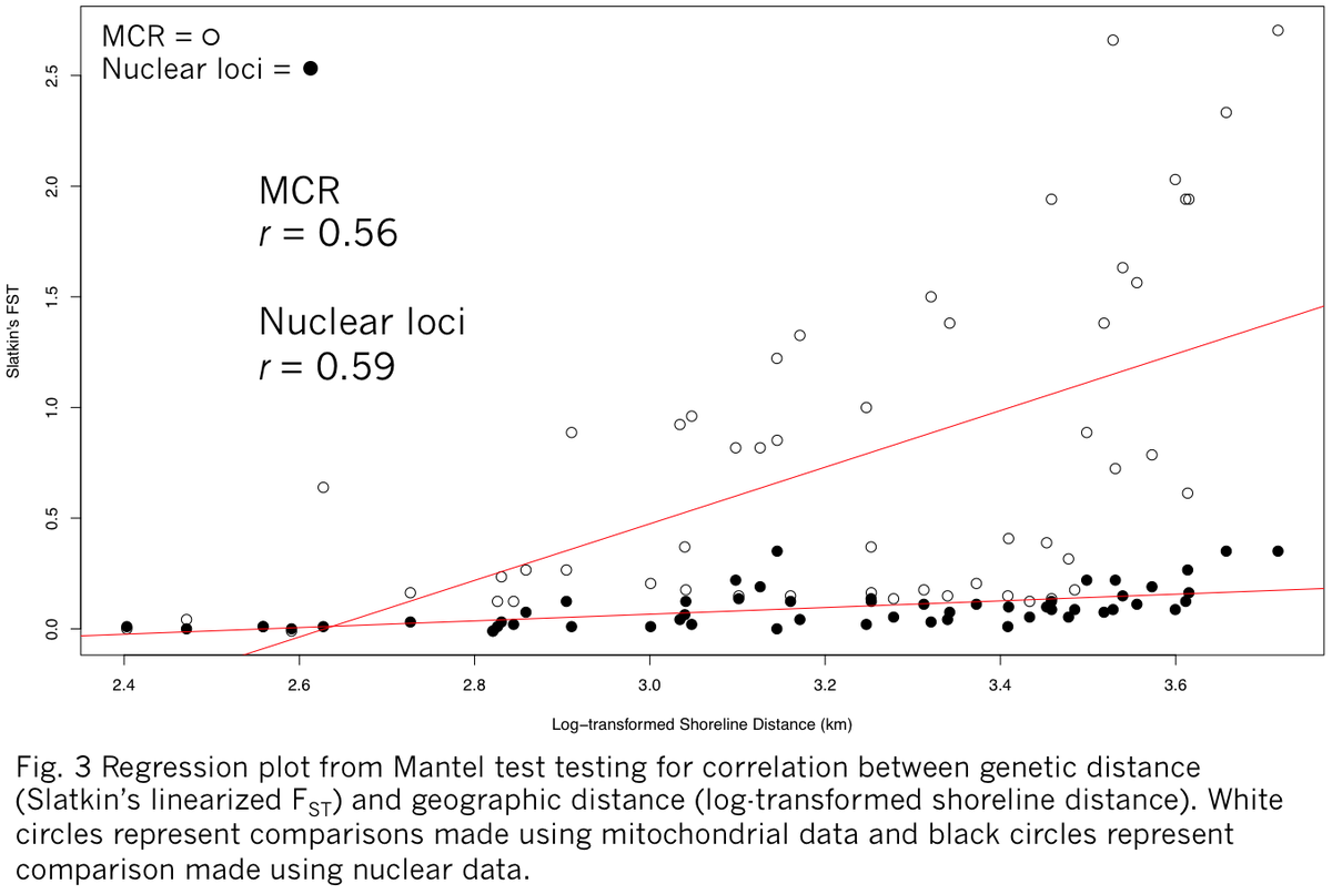 BronwynHarkness's tweet photo. 3 #WSTC4 #Gentcs We found significant genetic differentiation between populations, which followed a pattern of isolation by distance. Phylogenetic analyses showed a major genetic disjunction between Aleutian Islands and mainland populations. https://t.co/DRCWe5uQBd