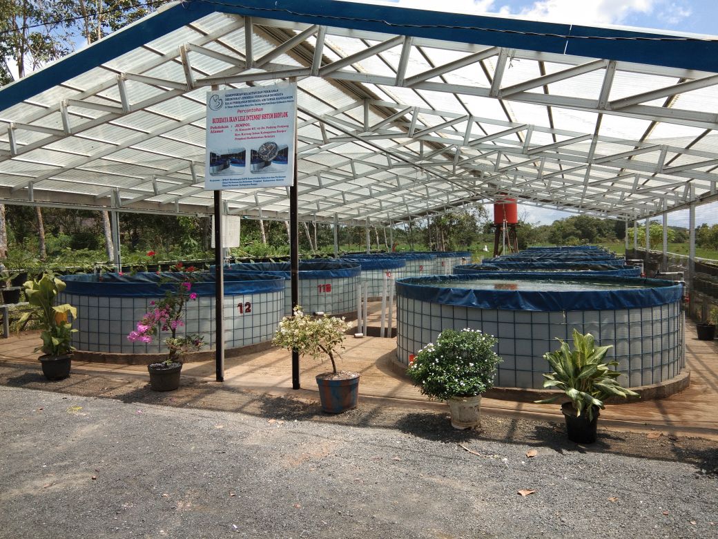 Kunjungan kerja anggota DPRD Aceh Timur ke Pokdakan Jempol, mengenai Budidaya ikan lele sistem bioflok