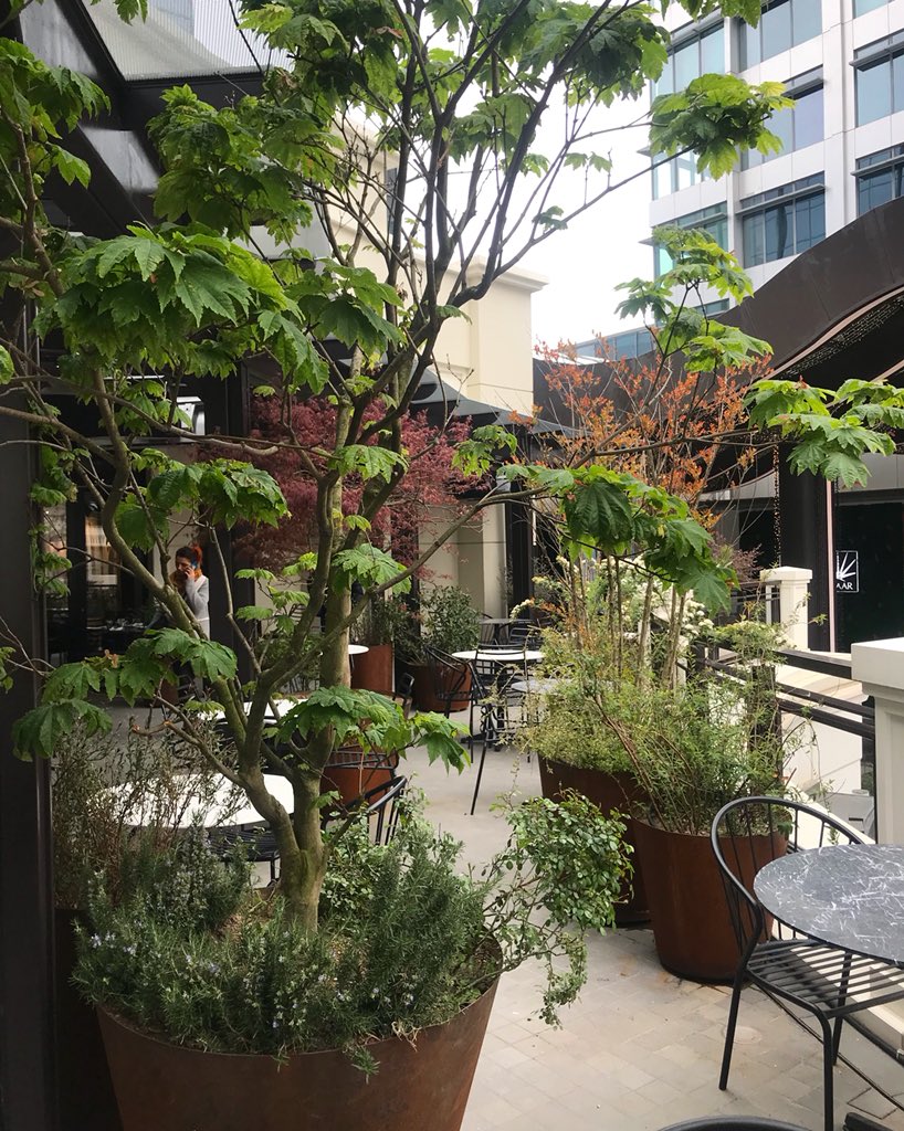 SuvlaWines's tweet photo. Suvla Emaar teras 🍷🌿🌈 #suvlaemaar #suvlawines #suvla #winepairing #winedine #emaarsquaremall #istanbul #winebar #bistro #winelovers #şarap #spring #urbanterrace #anadoluyakası 🙏🏽🦋 @spaceworxistanbul #landesign https://t.co/AMYa103R3F