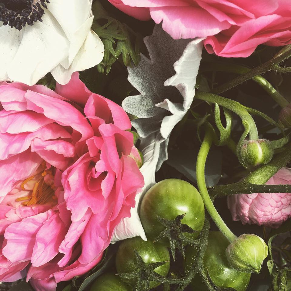 Wednesday Morning  Vibes. #peony #tomatoes #dustymiller # anemone
