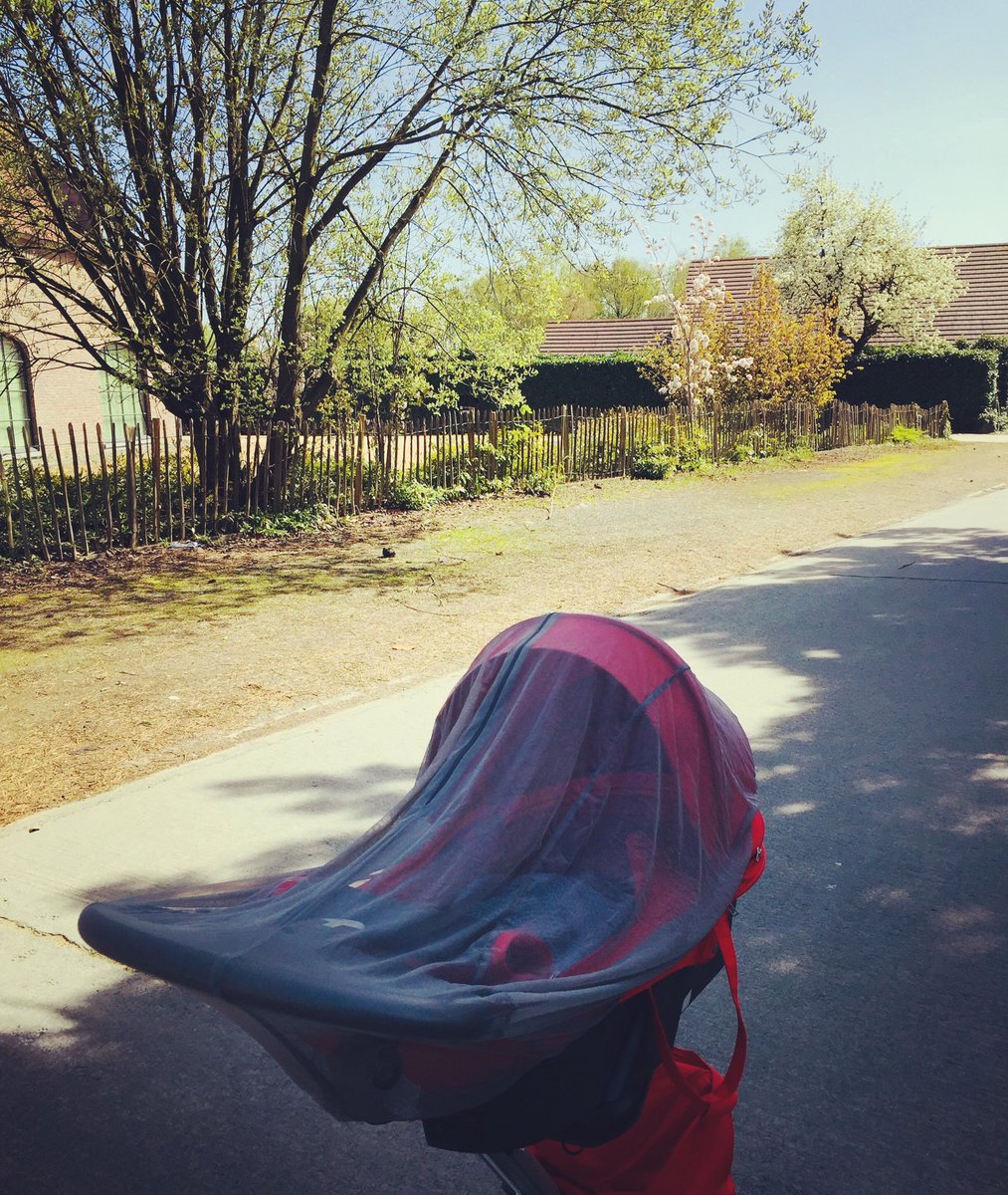 incrociate's tweet photo. Taking the little one for a walk. #letthesunshine https://t.co/OLrN88PxU1