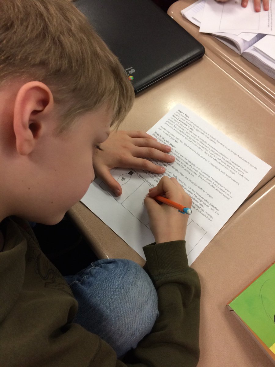 BealebBeth's tweet image. Working on Life Cycles in Mrs. Bladon’s Class.  #GWD50