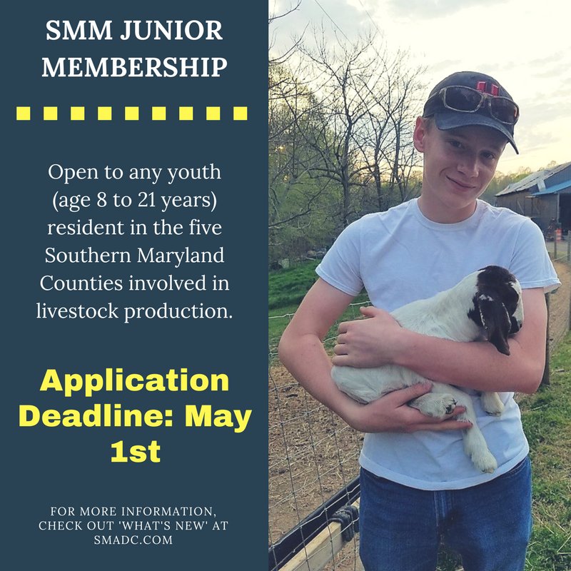 SMADC's tweet photo. REMINDER: Deadline for enrollment in the Junior Membership Program is Tuesday, May 1, 2018. All Southern Maryland youth, including 4-H members and Future Farmers of America (FFA), are encouraged to apply.
#smadc #juniormembership #southernmarylandmeats https://t.co/Yc7dW6l6Bl