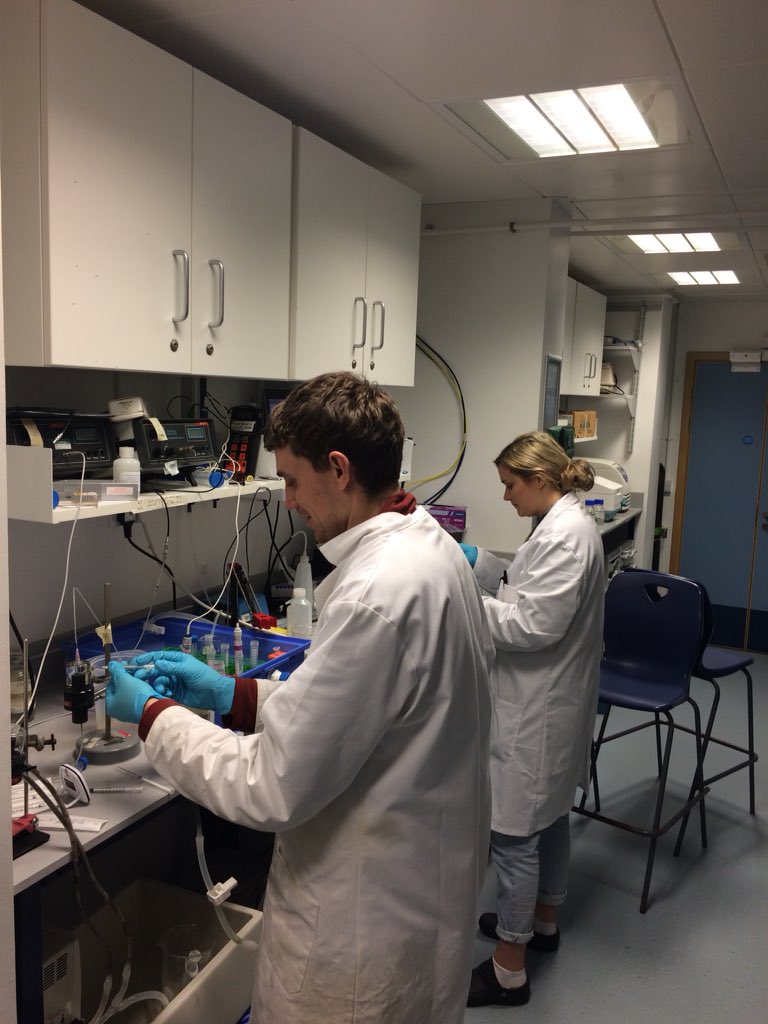 ecofishiology's tweet photo. #Teamwork making the dream work as the #WilsonLab assess the impact of combined climate change stressors on sea bass @DanWMont @H_R_Goodrich https://t.co/cKgv1Wzn5T