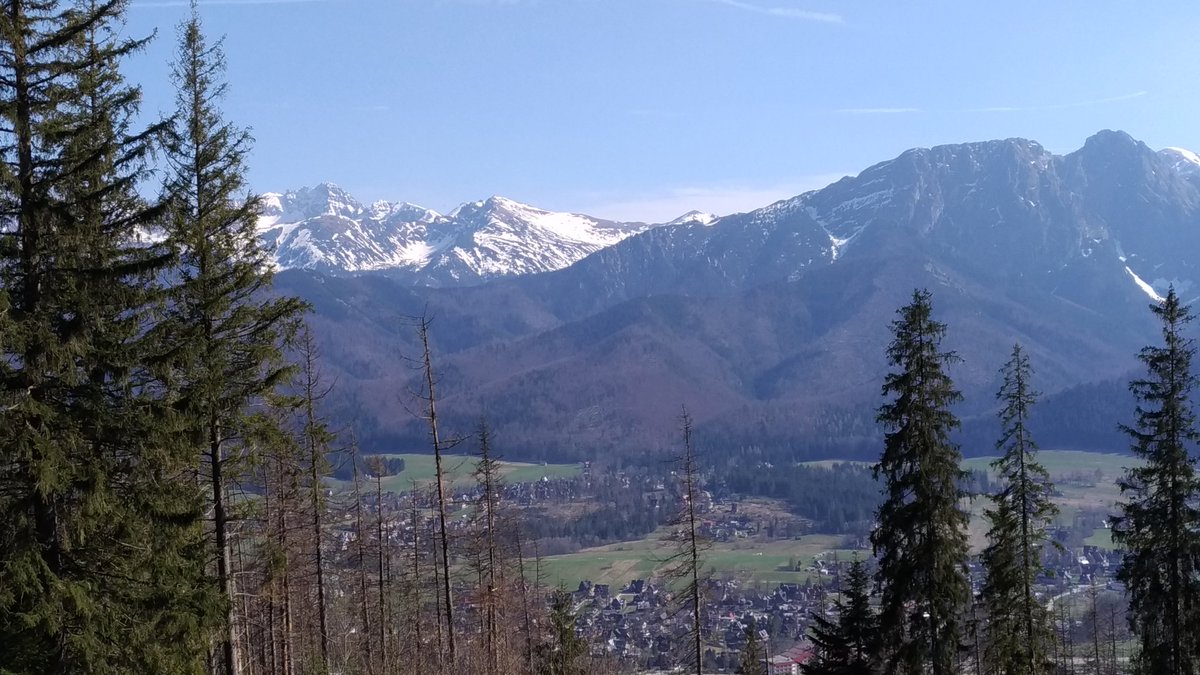 UlisproJDB's tweet photo. Paysages des montagnes des Carpates... https://t.co/ga2dWsCZC8
