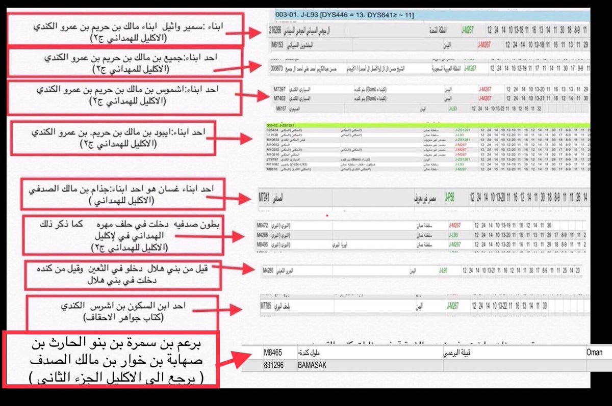 علم الجين DAN tweet media
