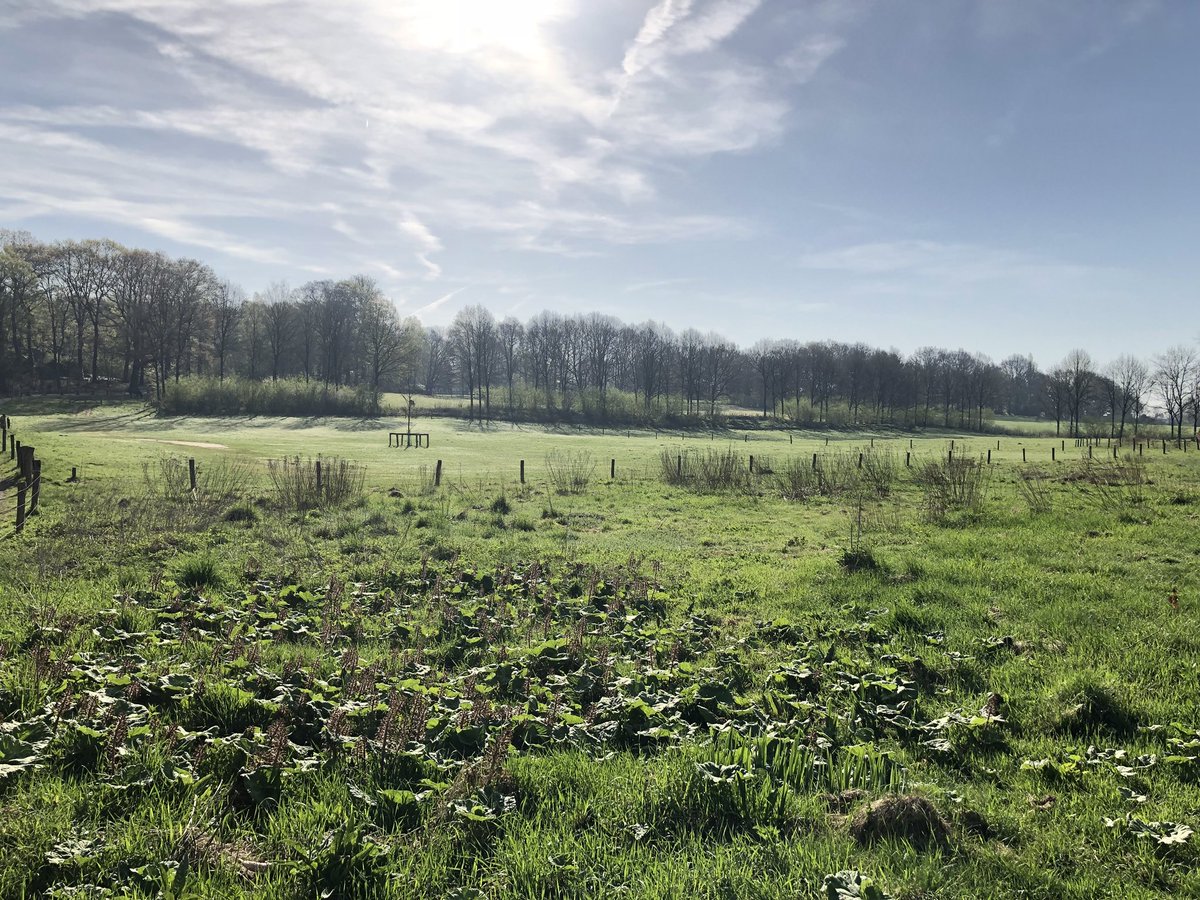 Celine_Blom's tweet photo. @TienkevdWerf en @OllandN hartelijk dank voor de toelichting en rondleiding over de kansen voor klimaatpark IJsselpoort. Wat is Gelderland toch mooi in al zijn diversiteit. Dit past bij een groen Gelderland! #gelderlandlevertjemooiestreken @d66gelderland https://t.co/wbT2OgvsOy