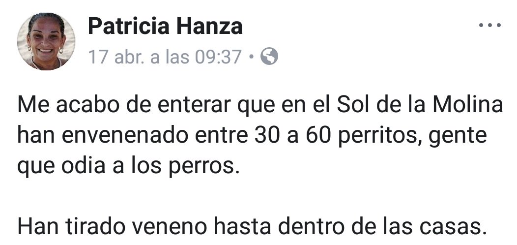 psomosperu's tweet photo. @Munimolina Ante la denuncia en redes sociales sobre el envenenamiento masivo de perros en La Molina, precisamos que se trata de una falsa información. Nuestro personal ha realizado las indagaciones correspondientes y no existe ningún indicio de este caso. https://t.co/5mwDKCjqoM