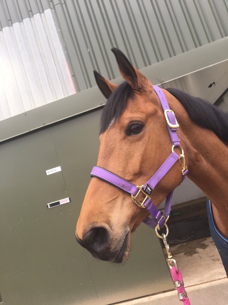 HURSTFCU16 tweet media