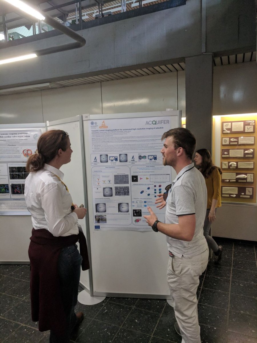 ImageInLife's tweet photo. Our ESR Laurent Thomas from @myacquifer presenting his poster "Towards a smart imaging platform for automated high-resolution imaging of zebrafish" at the 4th Strategic Meeting for Medaka Research in Heidelberg.
#H2020 #InvestEUresearch @MSCActions @WittbrodtLab #HDfish2018 https://t.co/4ueOqcnhJv
