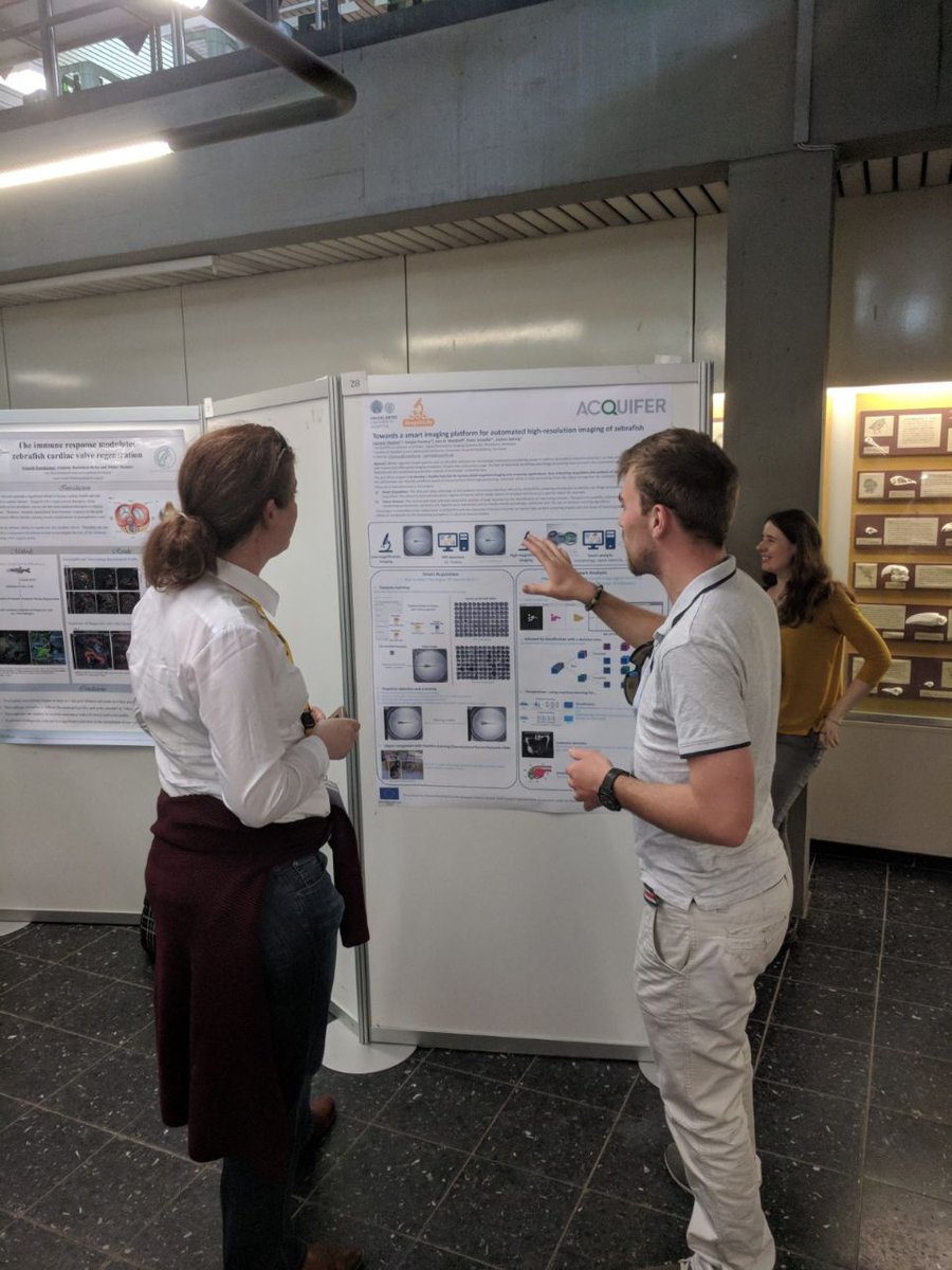 ImageInLife's tweet photo. Our ESR Laurent Thomas from @myacquifer presenting his poster "Towards a smart imaging platform for automated high-resolution imaging of zebrafish" at the 4th Strategic Meeting for Medaka Research in Heidelberg.
#H2020 #InvestEUresearch @MSCActions @WittbrodtLab #HDfish2018 https://t.co/4ueOqcnhJv
