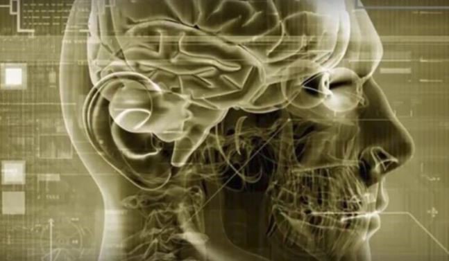 sofiauCA's tweet photo. How do our minds become poisoned? The conditioned mind is universal--no group, whether you approve or disapprove of its attitudes, has a patent on stubborn, ingrained beliefs. @DeepakChopra
#sofiauniversity #transpersonalpsychology #conditionedminds #Psychology https://t.co/nPkDTAo5wI