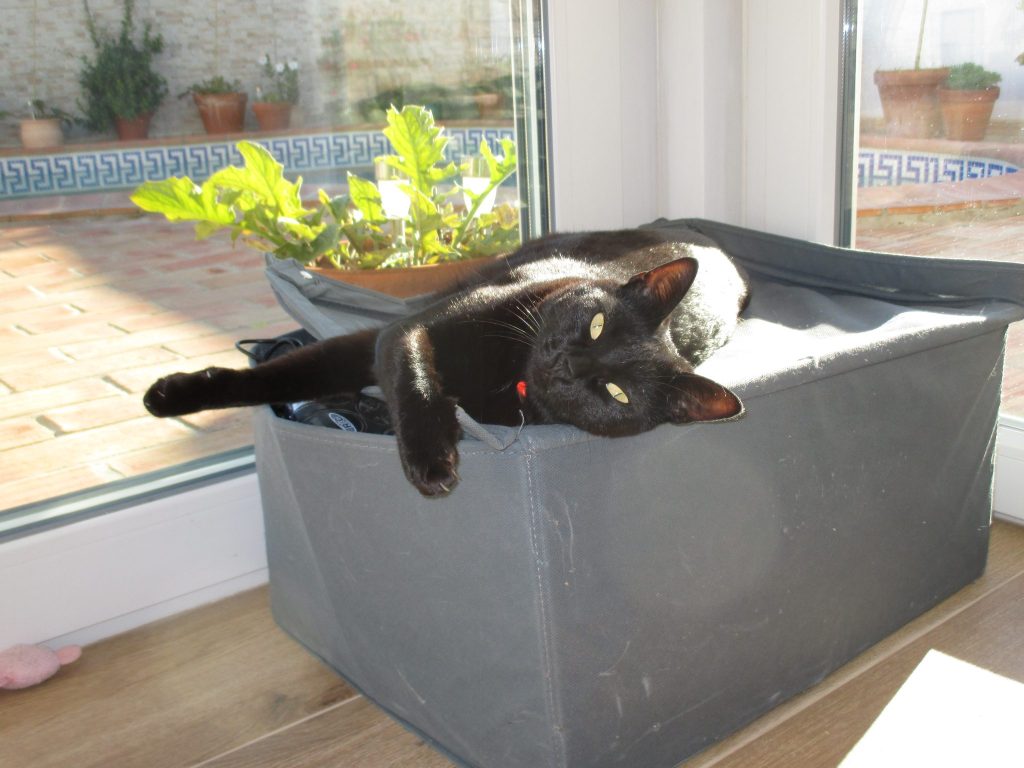 DNJ – More Nomad News From Nowhere. Issue 18. digitalnomadjobs.com/dnj-mnnfn-18/