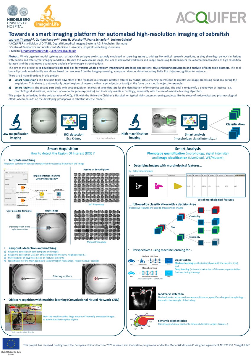 ImageInLife's tweet photo. Our ESR Laurent Thomas from @myacquifer presenting his poster "Towards a smart imaging platform for automated high-resolution imaging of zebrafish" at the 4th Strategic Meeting for Medaka Research in Heidelberg.
#H2020 #InvestEUresearch @MSCActions @WittbrodtLab #HDfish2018 https://t.co/4ueOqcnhJv