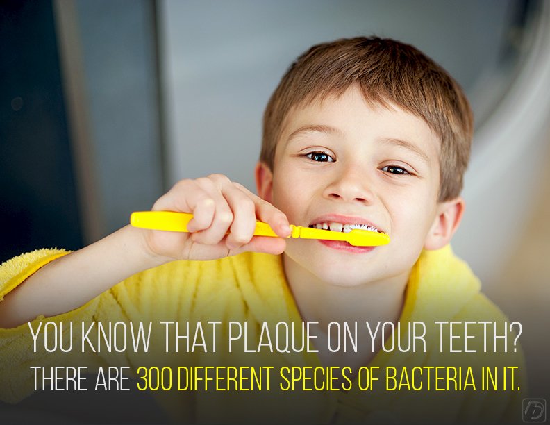 чищенная мальчиком