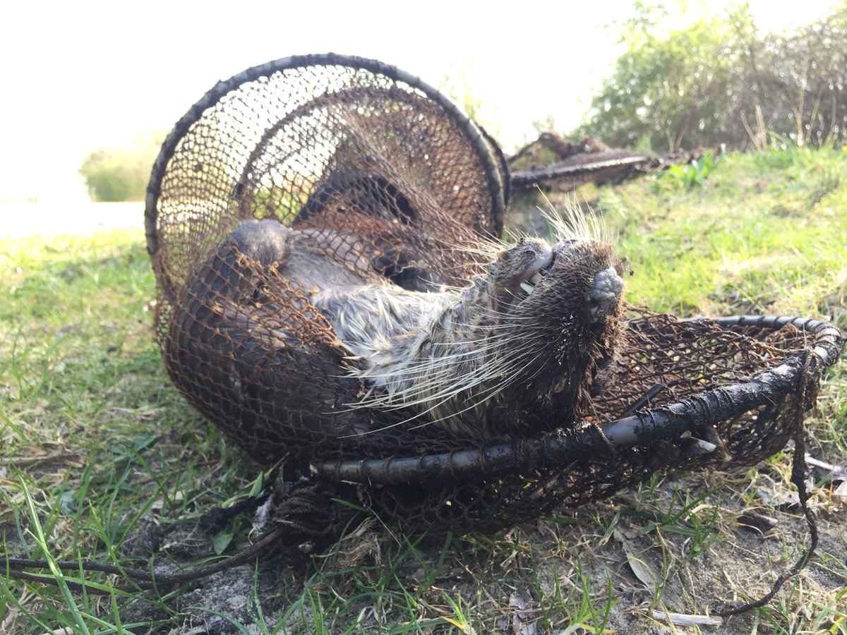 Johann Prescher tweet media