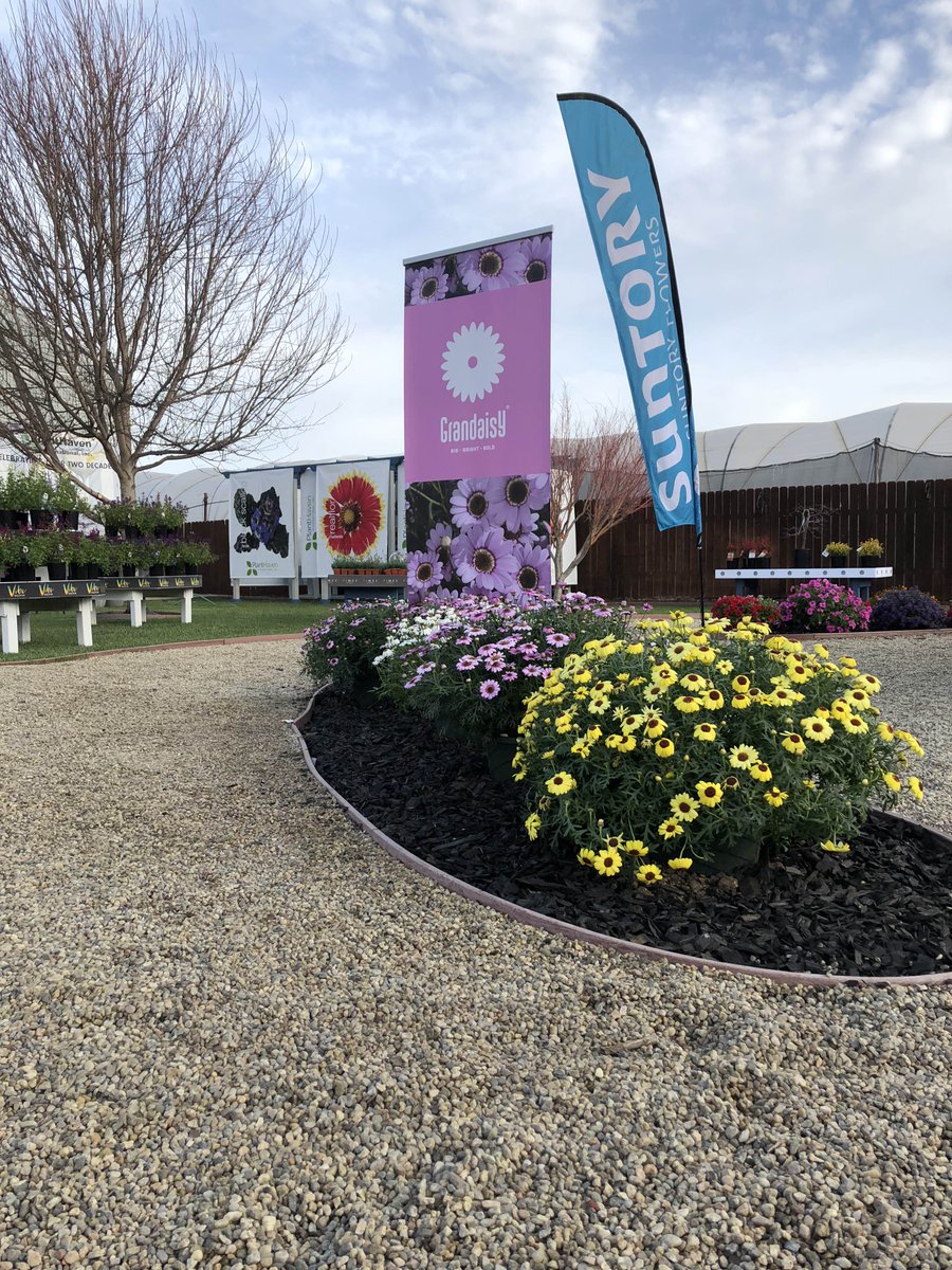 WaterPulseMats's tweet photo. Some gorgeous booths at GroLink! Come check us out today! #cast2018 #californiaspringtrials #cast #grolink #waterpulse #oxnardca #californiagrown #california https://t.co/W8Rs5Q9xpM