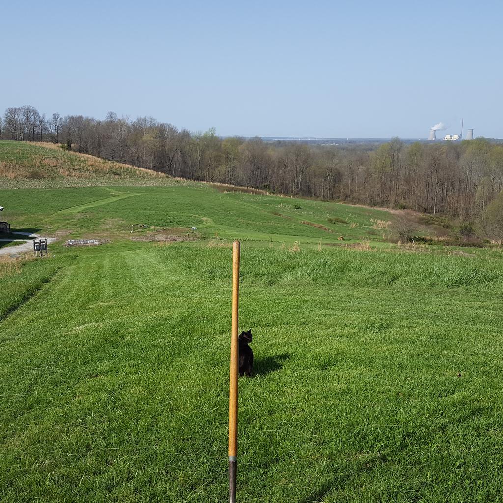 BradMaisto's tweet photo. Surveying the first lawn mowing job of the 2018 season with the cat! #MaistoMountain #catdog #JD345 #JohnDeere #Lawnmowed #prettyday #Nero https://t.co/dovadhXZ55