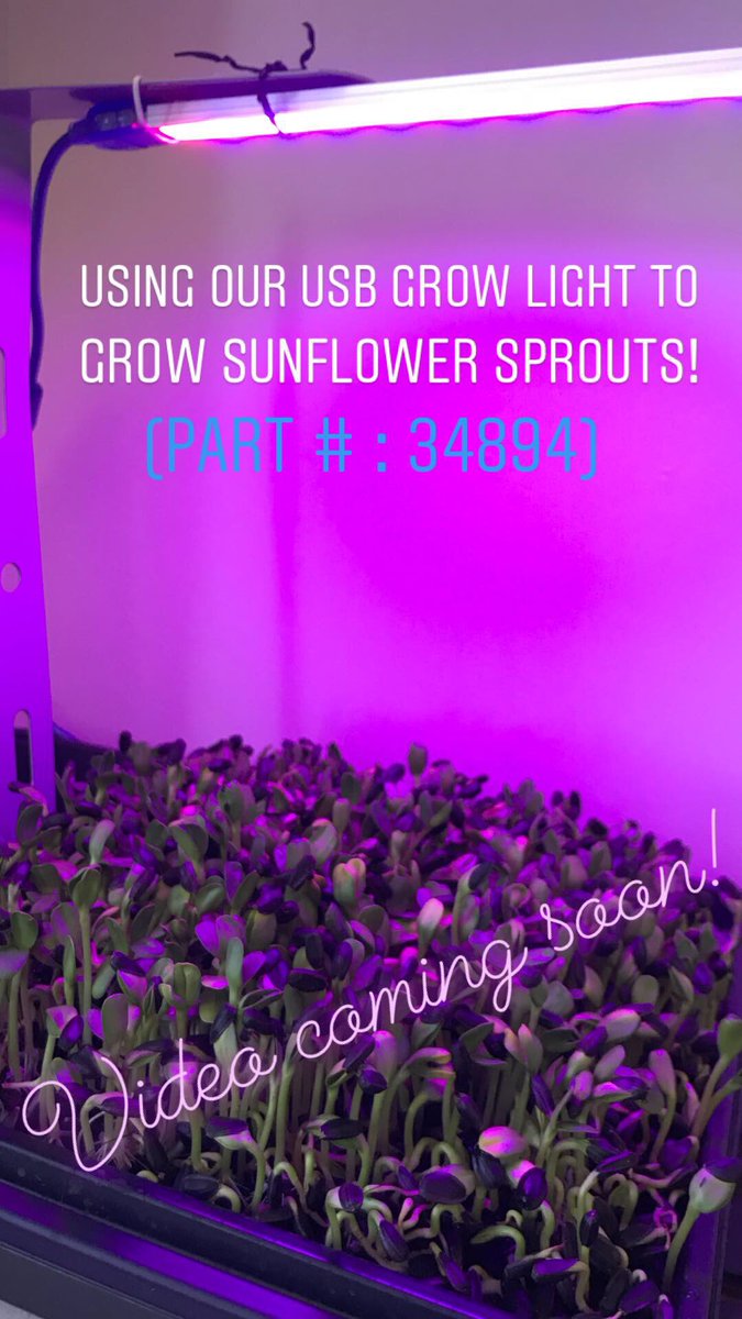 MPJAonline's tweet image. New video coming soon! Keep an eye out for our sunflower sprouts.

#growlight #usb #usblight #electronics #LEDs
