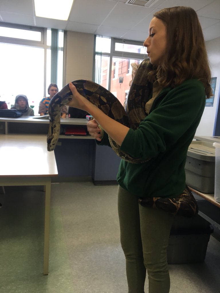 mrs_a_pari's tweet photo. Bernie the Boa! #grade9science #littlerays https://t.co/hzJYbCdvSA