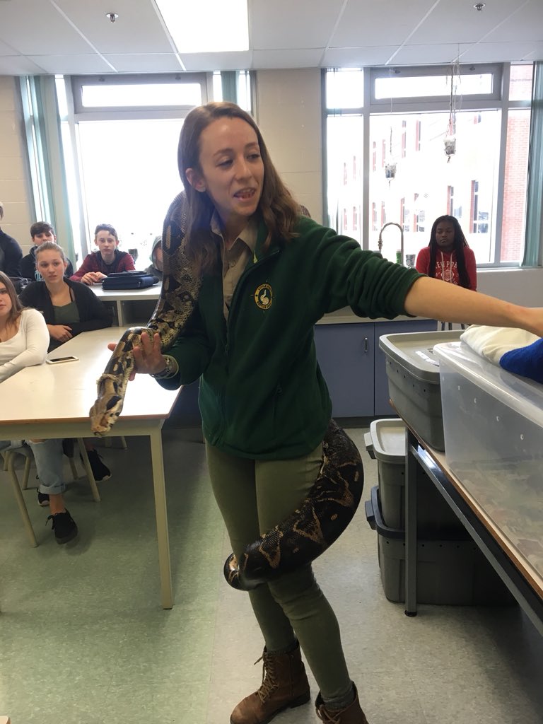 mrs_a_pari's tweet photo. Bernie the Boa! #grade9science #littlerays https://t.co/hzJYbCdvSA