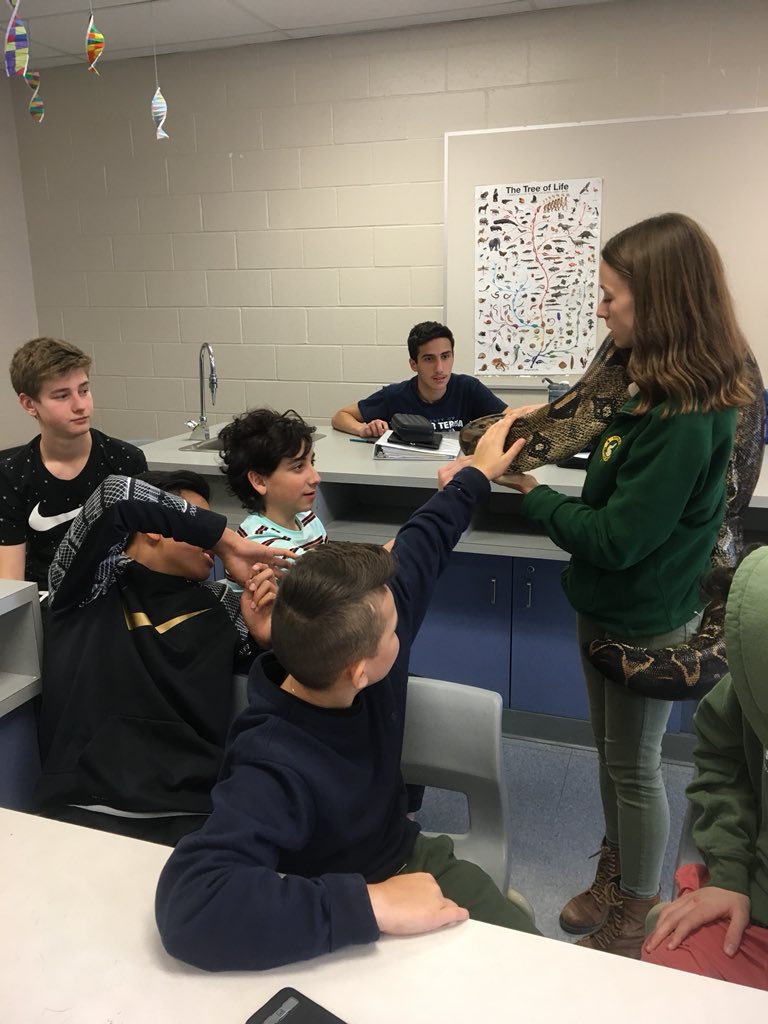 mrs_a_pari's tweet photo. Bernie the Boa! #grade9science #littlerays https://t.co/hzJYbCdvSA