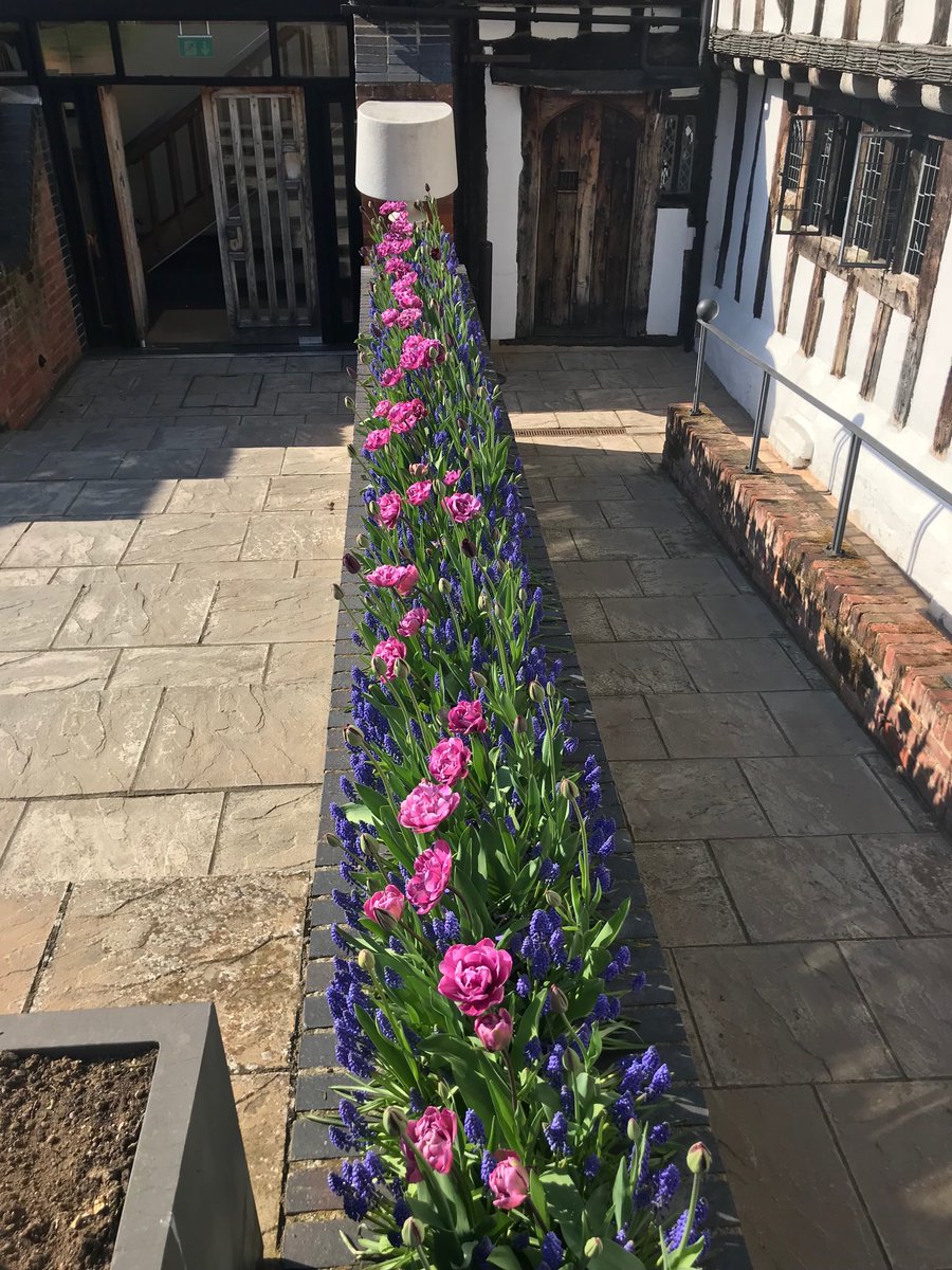 Tulips are now on duty